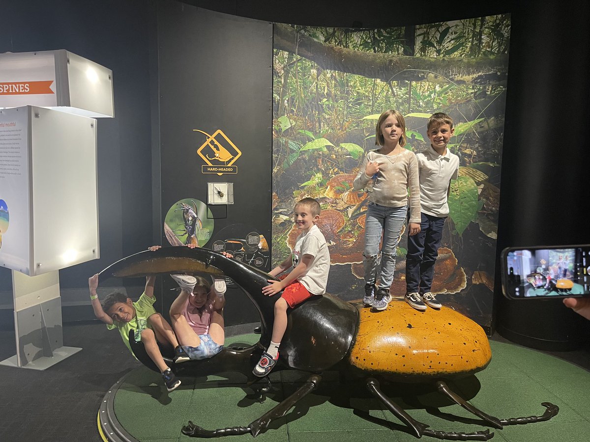 Catherine Farny tweet media