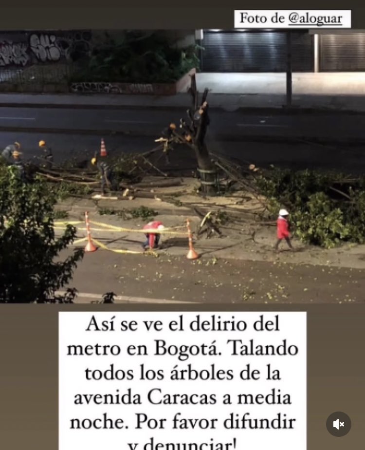 nacional_memes's tweet photo. Parce que pasa????

dejen de talar árboles https://t.co/UEFheu9Tyr