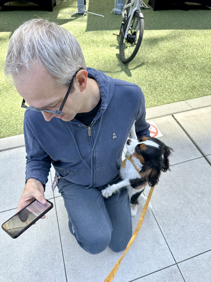 pymhq's tweet photo. Our puppy is giving a very warm welcome to David. 😄
#RTODay https://t.co/9pbnWtq9a5