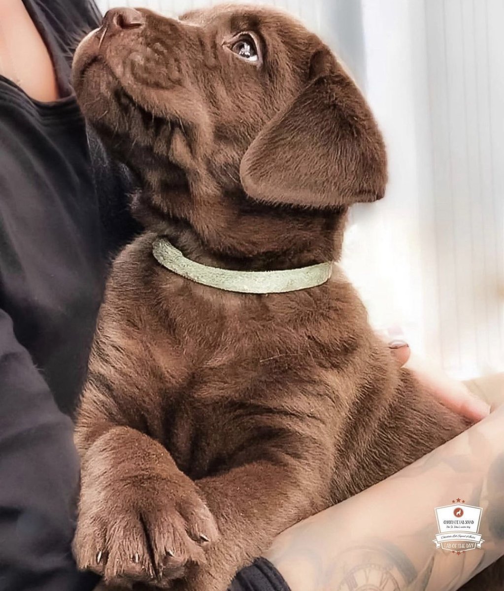 que te miren asi 😍😍😍