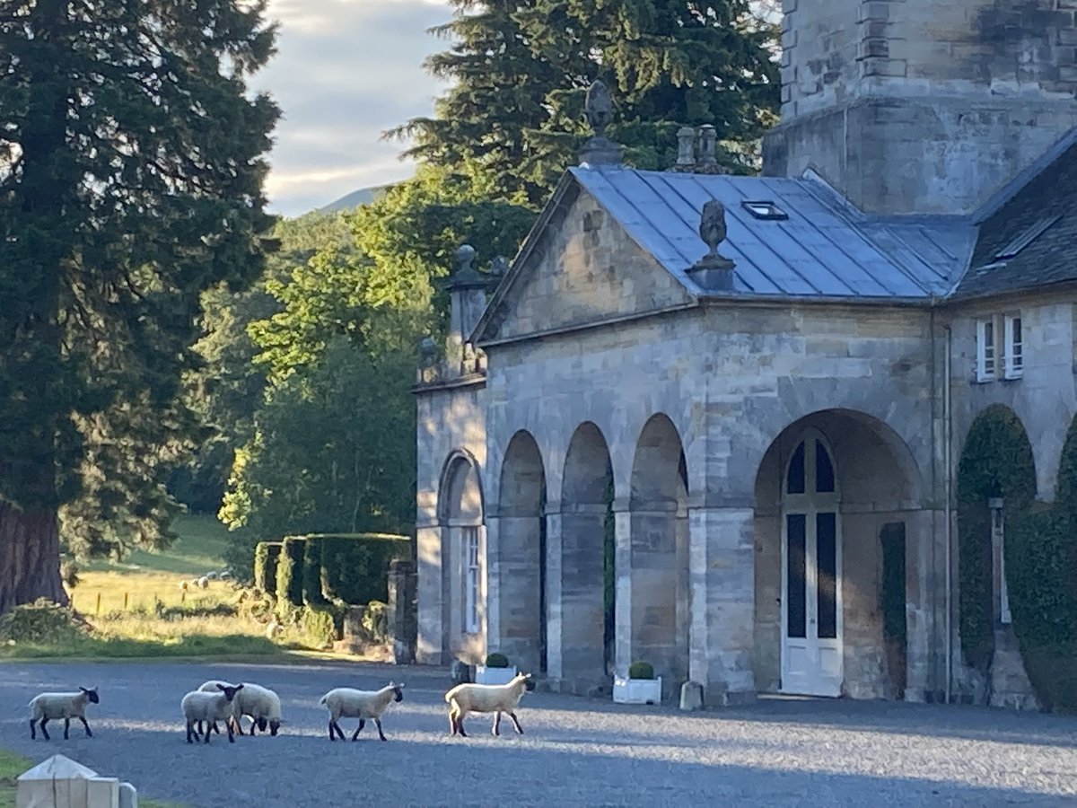 Donna Burwell tweet media