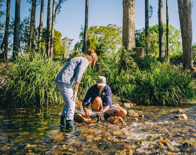Oz_GREEN's tweet photo. Check out freshwater bugs, or macroinvertebrates, they act like tiny water detectives, indicating water quality. These little guys include dragonflies, mayflies, and water beetles and can be seen with the naked eye or magnifier! 🕵️‍♀️💦🐞 https://t.co/IsPVaaGG6I
