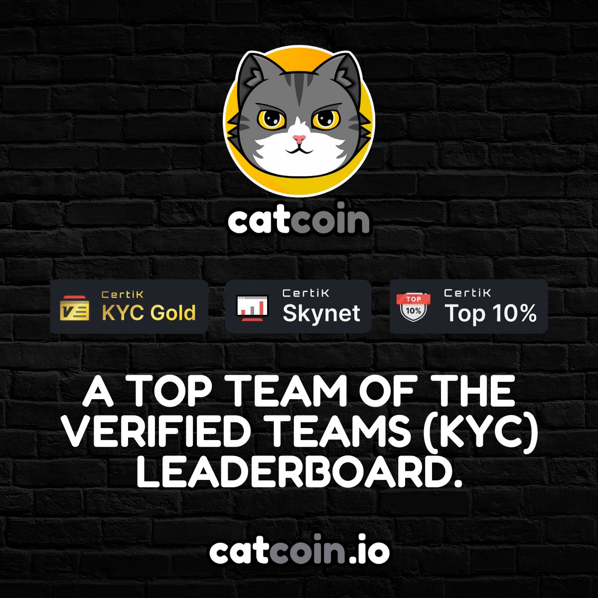 officialcatcoin's tweet photo. With #Catcoin having one of the best teams in the #crypto space, and our award winning #CatcoinArmy - we are unstoppable! https://t.co/CnFVGuS9S0
