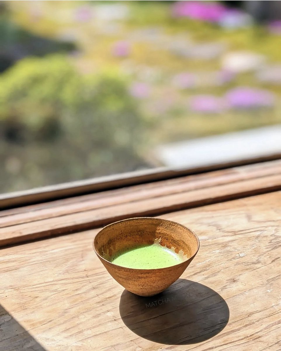 MatchaMoonTea's tweet photo. 二階堂さんの素敵なうつわで朝抹茶。Gyokuro matcha Monday against a backdrop of pretty spring shibazakura flowers. https://t.co/0c5Zs8Wr66