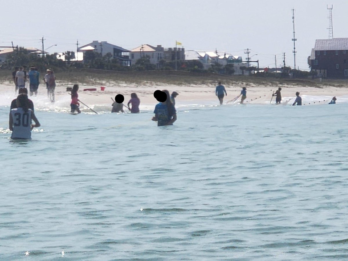 Mrs. Trimble (Culverhouse) (@mrs_a_trimble) on Twitter photo Kudos for Mrs. Lange for leasing Wet Week <a href="/SurfsideMS/">Surfside Middle School Sharks</a> ! I know the kids love learning right in our backyard! <a href="/BayDistSchools/">Bay District Schools</a> <a href="/BDS_Supt/">BDS Superintendent</a> Kudos for Mrs. Lange for leasing Wet Week <a href="/SurfsideMS/">Surfside Middle School Sharks</a> ! I know the kids love learning right in our backyard! <a href="/BayDistSchools/">Bay District Schools</a> <a href="/BDS_Supt/">BDS Superintendent</a>