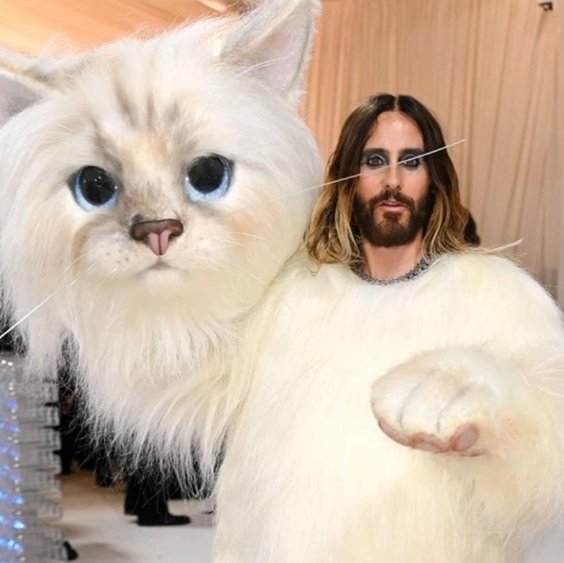 Jared J. 🎤🎶 (@jaredjletox) on Twitter photo 