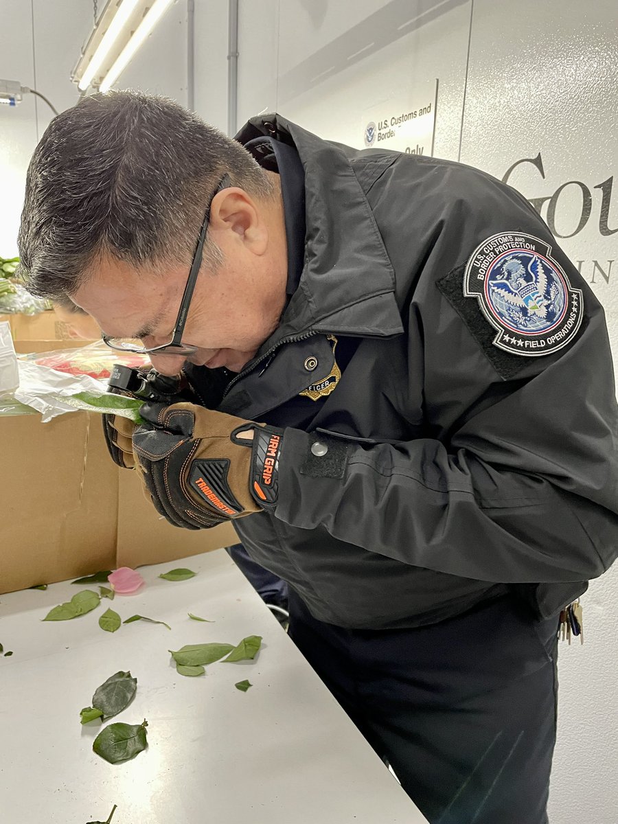 CBP Los Angeles tweet media