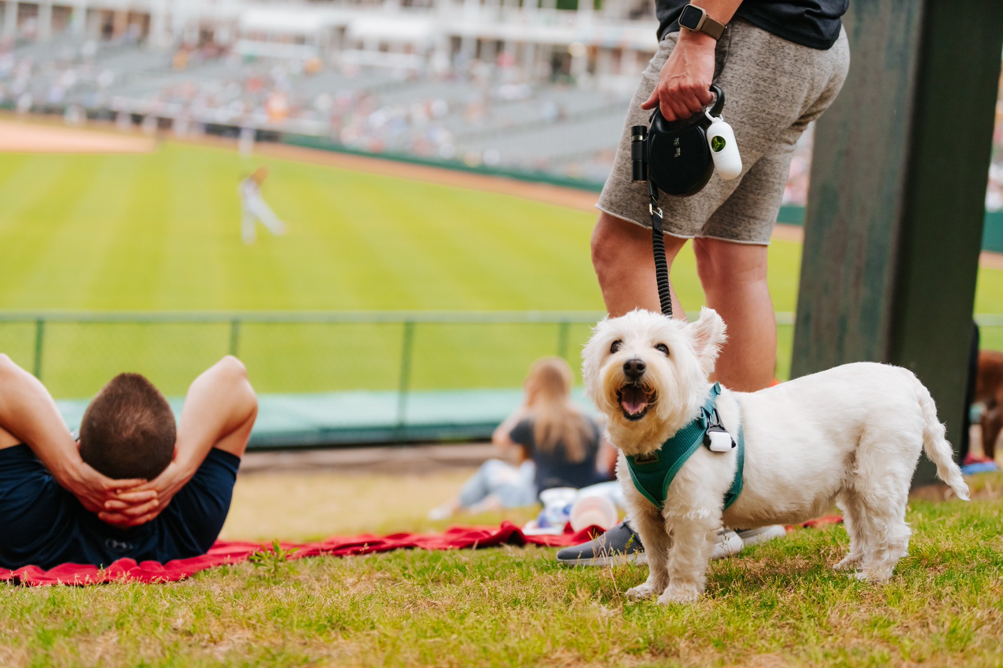 Frisco RoughRiders on Twitter "Bring your dog to the ballgame! Bring