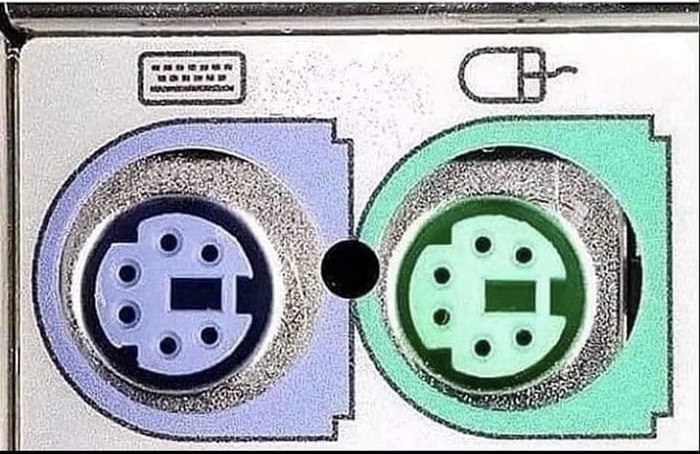 Enzo Avigo tweet media