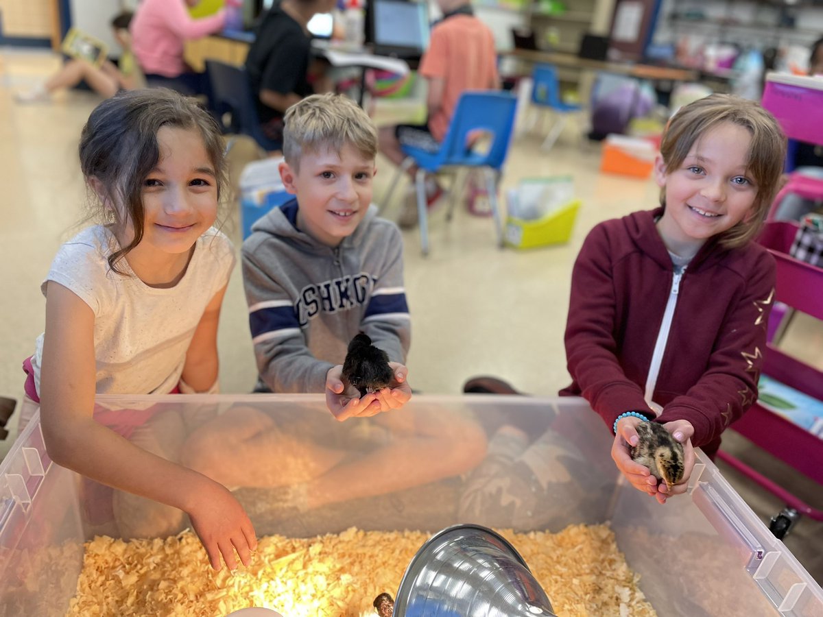 We are loving getting to spend time with our turkeys! #wyasd #wyproud