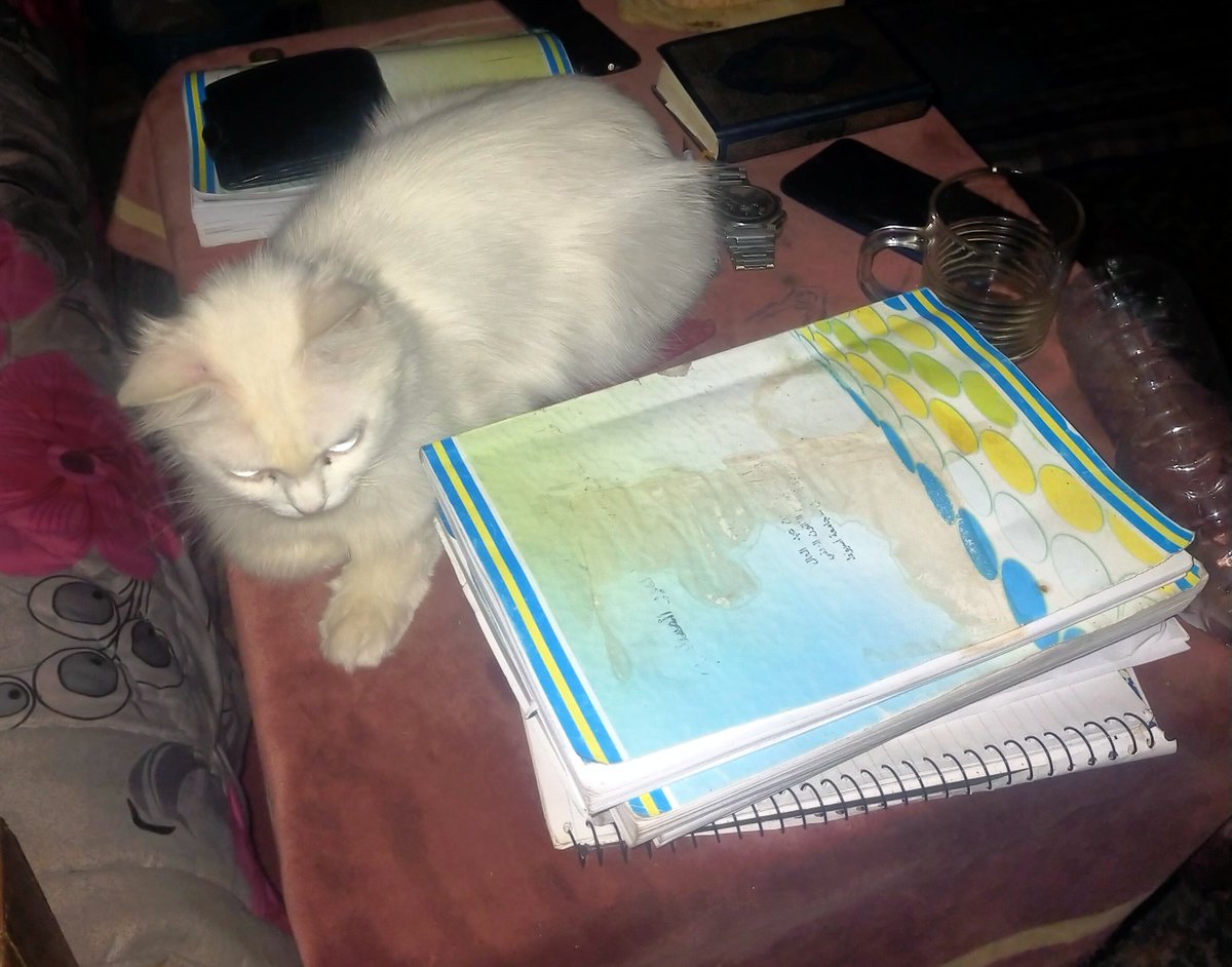 كنسل المذاكرة🥰