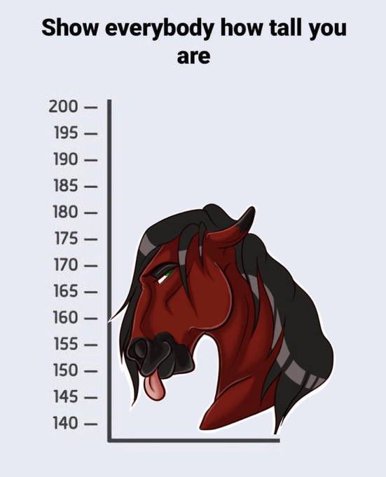 Perfect height for you to ride! Hop on my back and let’s go somewhere 🐴