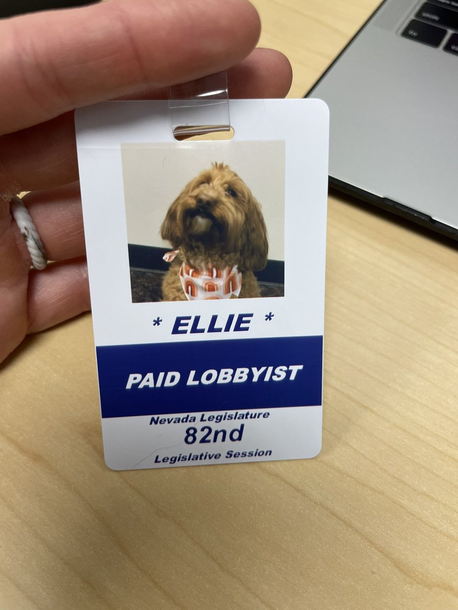 Amanda Brazeau (@amandabrazeau) on Twitter photo Ellie had a great day at #NVLeg Thank you <a href="/ErikJimenezNV/">Erik Jimenez</a> and <a href="/MelanieScheible/">Melanie Scheible</a> for having us. Ellie had a great day at #NVLeg Thank you <a href="/ErikJimenezNV/">Erik Jimenez</a> and <a href="/MelanieScheible/">Melanie Scheible</a> for having us.