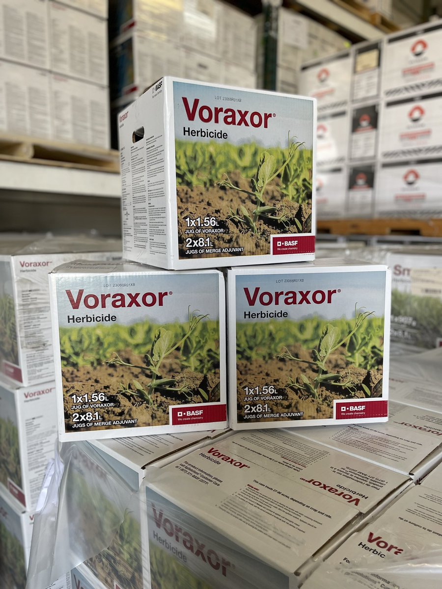 #ProductOfTheWeek 

Voraxor, Gr. 14 <a href="/BASFAgSolutions/">BASF Agricultural Solutions Canada</a> 
Pre-seed/Pre-emergence 

Registered Crops 🌾 field pea, soybeans, wheat, barley &amp; MORE 

Weeds 🚫 cleavers, kochia, wild mustard, volunteer canola &amp; MORE 

Questions? Call us at 1-306-452-3307
#Plant2022 #SaskAg