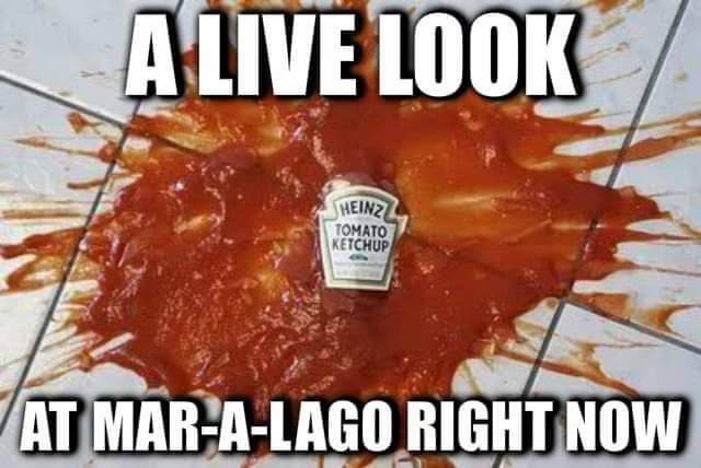 RidleyMusic87's tweet image. #trump #serialrapist #loser #MaraLago