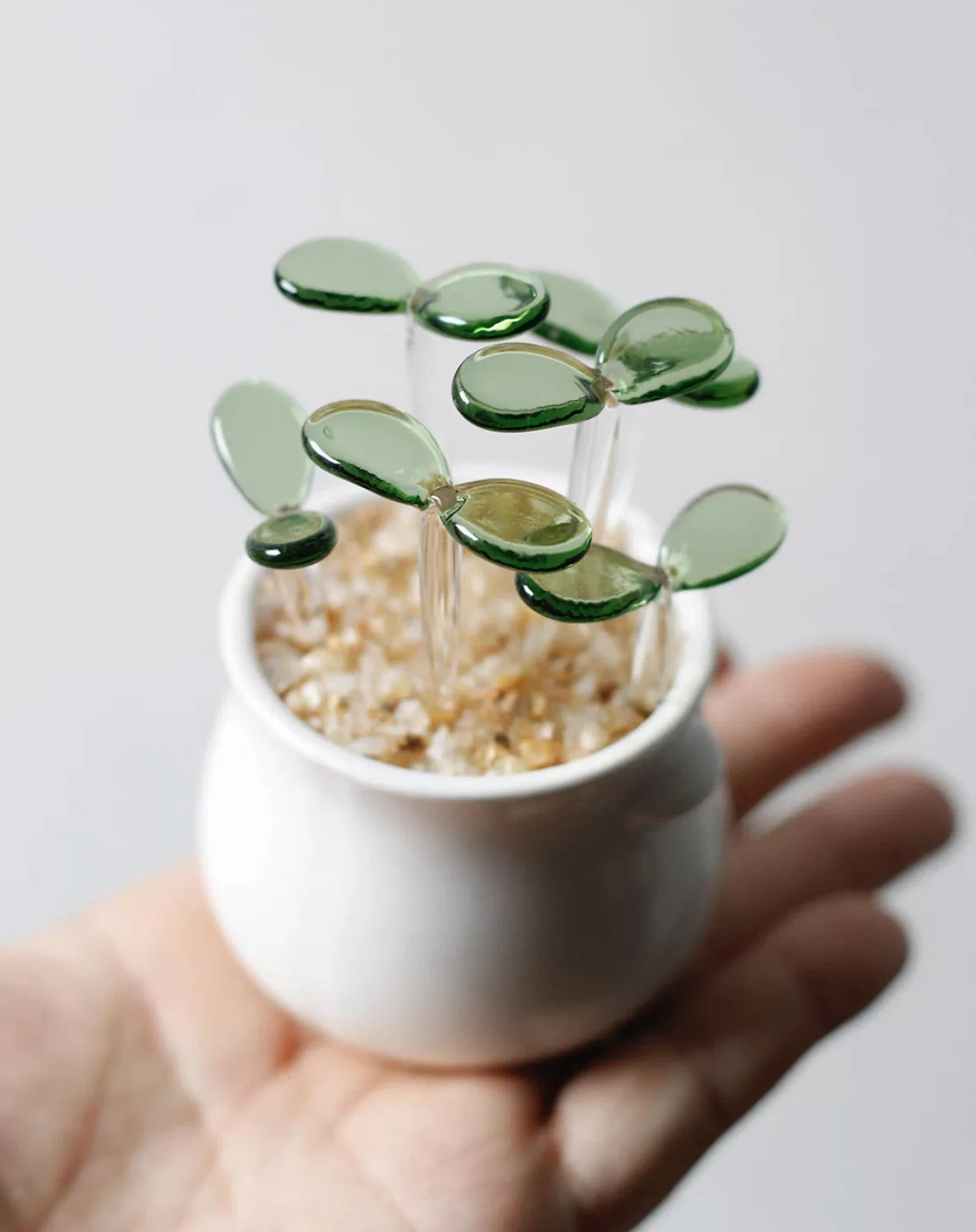 永久に枯れない！？ ガラスでできた観葉植物