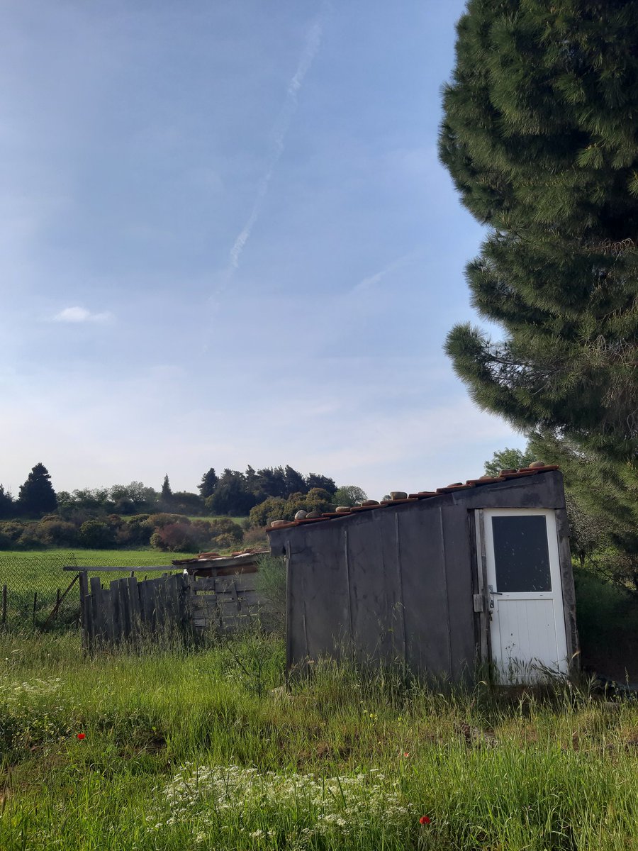 "Yerini yadırgayan eşyalar gibiydim ya ben hep."
| Birhan Keskin