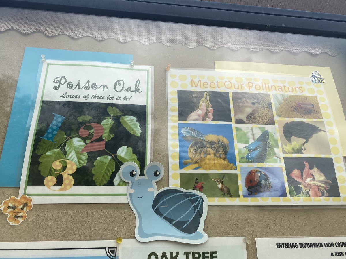 We’re talking about poison oak tonight at 4&amp;6 on <a href="/nbcsandiego/">NBC 7 San Diego</a> have you ever had a reaction from it? It. Is. The. Worst!