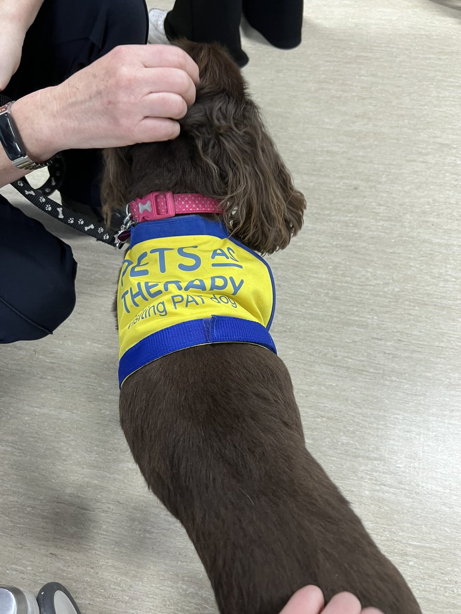 Beautiful cooker spaniel, Tara paid a visit to T9 today to show some love to the staff and patients. Thank you <a href="/PetsAsTherapyUK/">Pets As Therapy</a>! ♥️ 🐾 

<a href="/uclh/">UCLH</a> <a href="/ExoticRamblings/">Clive Pankhurst</a> <a href="/jcvdelapaz/">Julius Ceasar Dela Paz (He/Him)</a> <a href="/Janet_180783/">Janet Saunders</a>