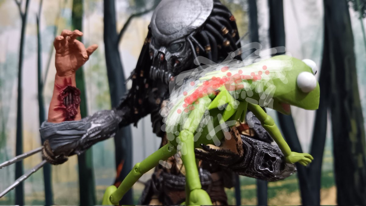 Happy #prednesday ! Some prey just is just plain weird for a Predator.