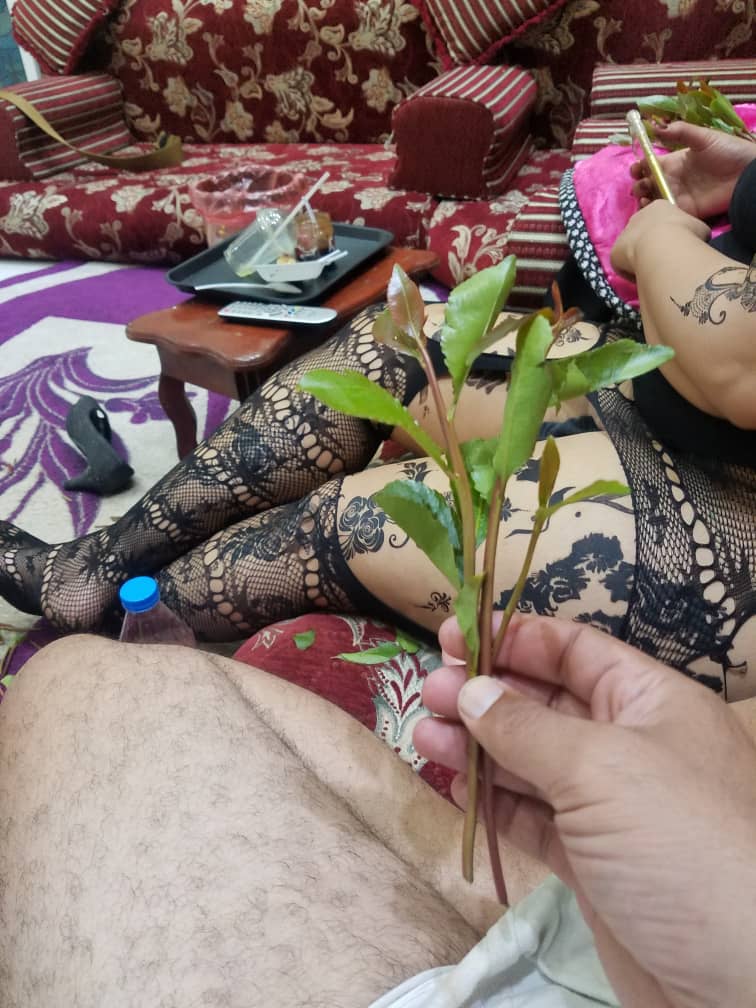 بداية السهره الان احلى خميس واجمل ليل وليله وليلى واحلى جوى ليل ذمار بستهني واشبع واتلذذ بنيك هذه الذماريه 😇😋