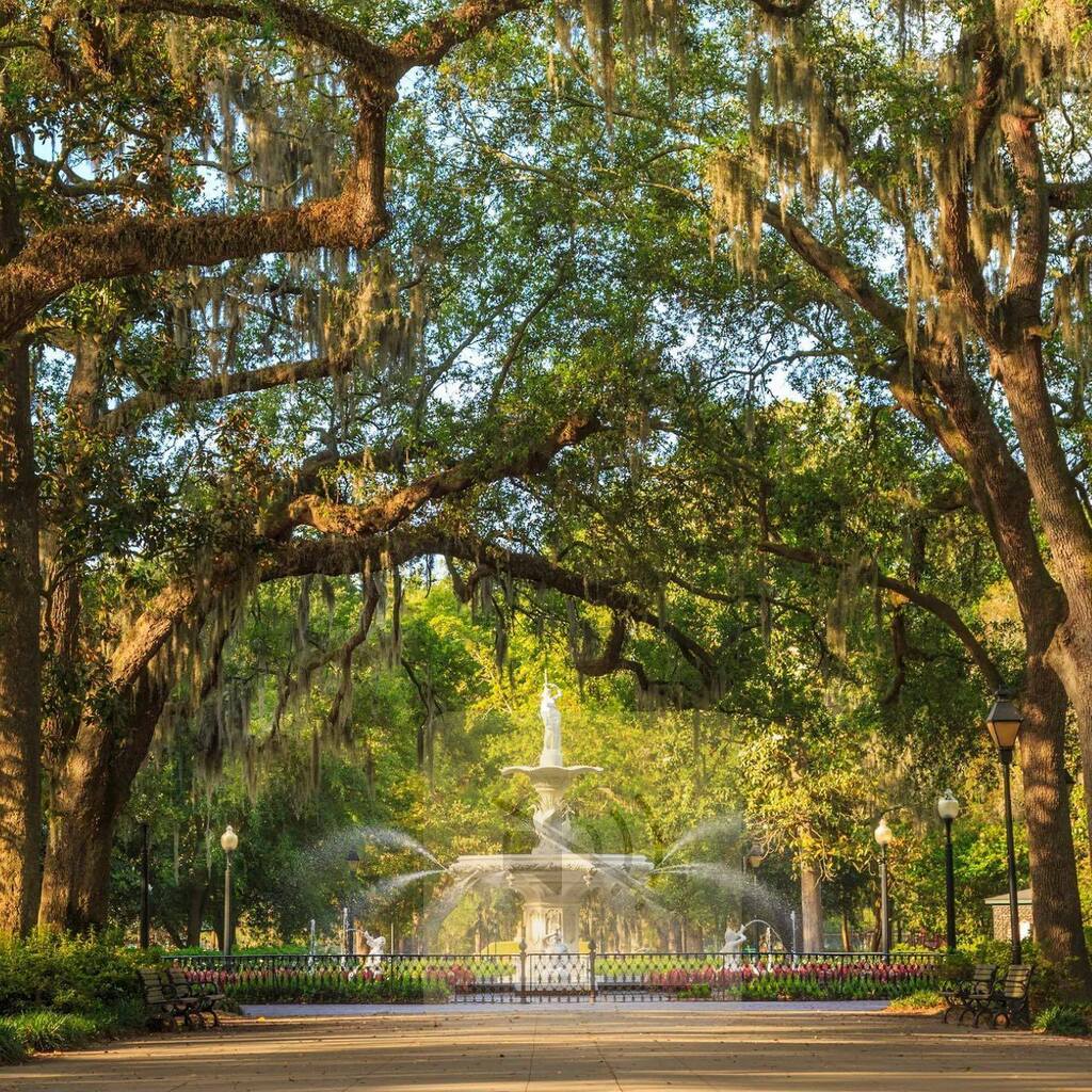 This week is National Travel & Tourism Week, and we want to thank all the visitors, locals, businesses and everyone in between for making Savannah a great place to travel. ✨ #Visit Savannah [📸 @unique_design_x_group] . . . #savannah #savannahga #sava… instagr.am/p/CsFEsh4td5U/