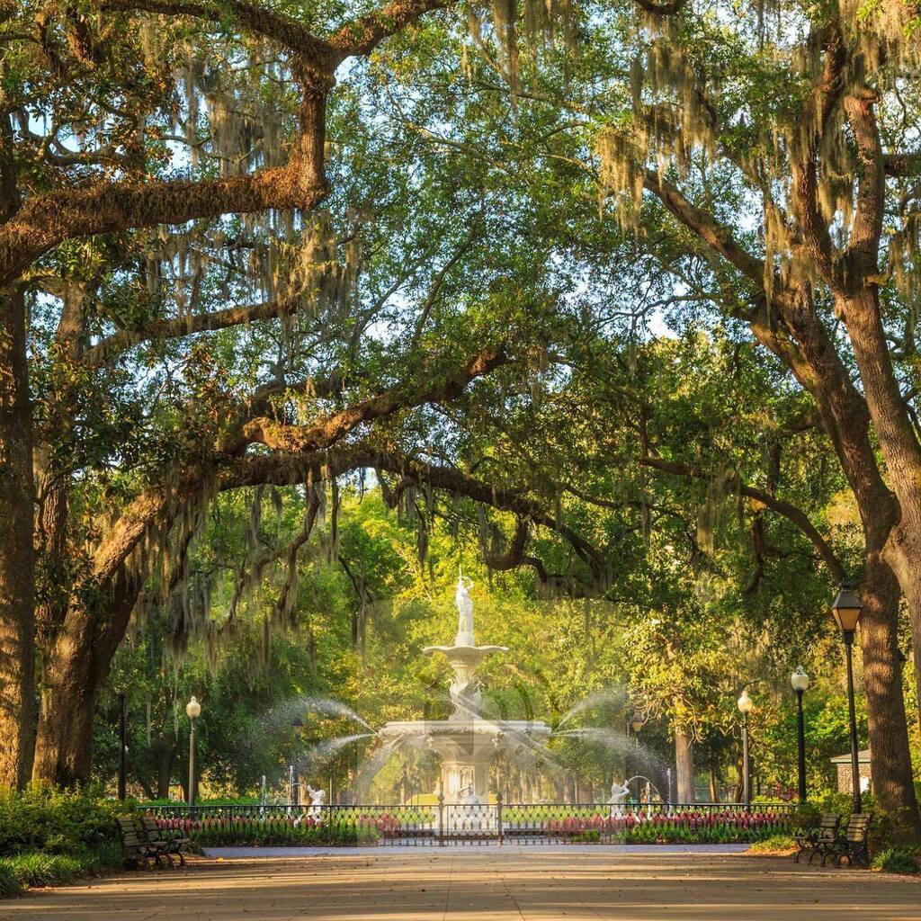 This week is National Travel &amp; Tourism Week, and we want to thank all the visitors, locals, businesses and everyone in between for making Savannah a great place to travel. ✨ #Visit Savannah [📸 @unique_design_x_group]
.
.
.
#savannah #savannahga #sava… instagr.am/p/CsFEsh4td5U/