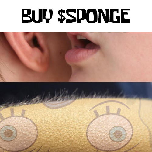 spongeoneth's tweet photo. 🗣️👂 Buy $SPONGE 🧽 https://t.co/9rdlDCa1wO