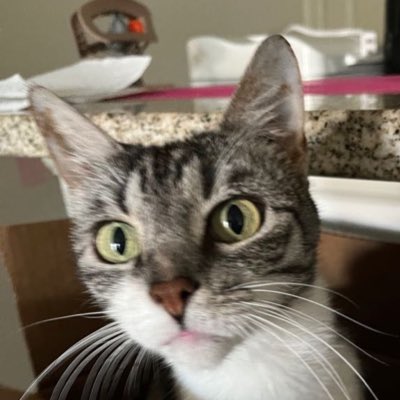 annaxhansen's tweet photo. #NewProfilePic https://t.co/ngBJaDyaxT