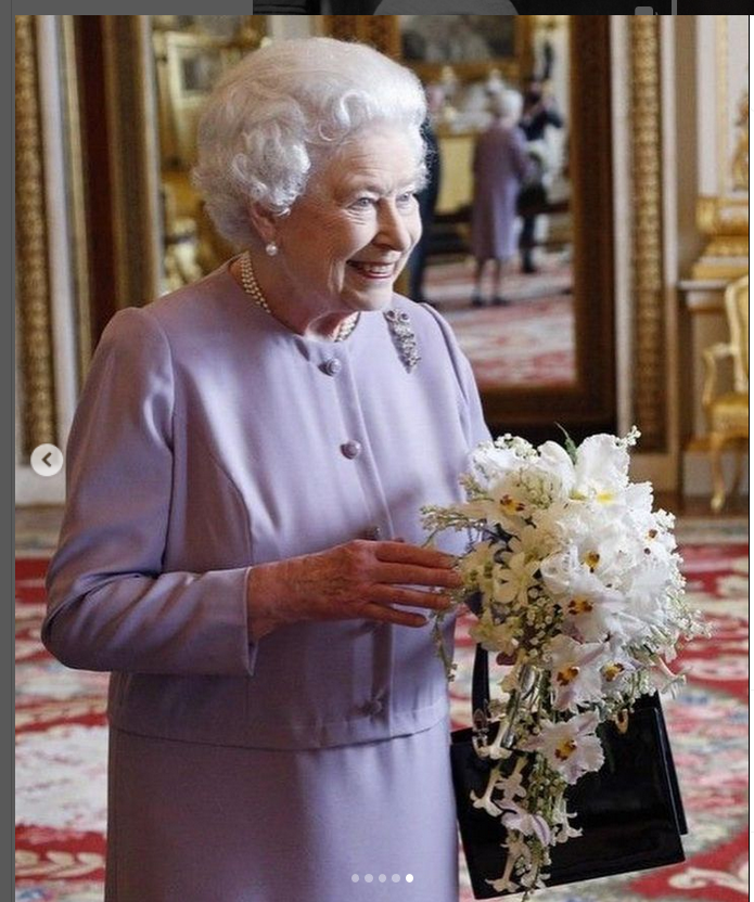 RobinLynnKing2's tweet photo. #EverythingRoyal #QueenElizabethII https://t.co/7pWa9dGhU4