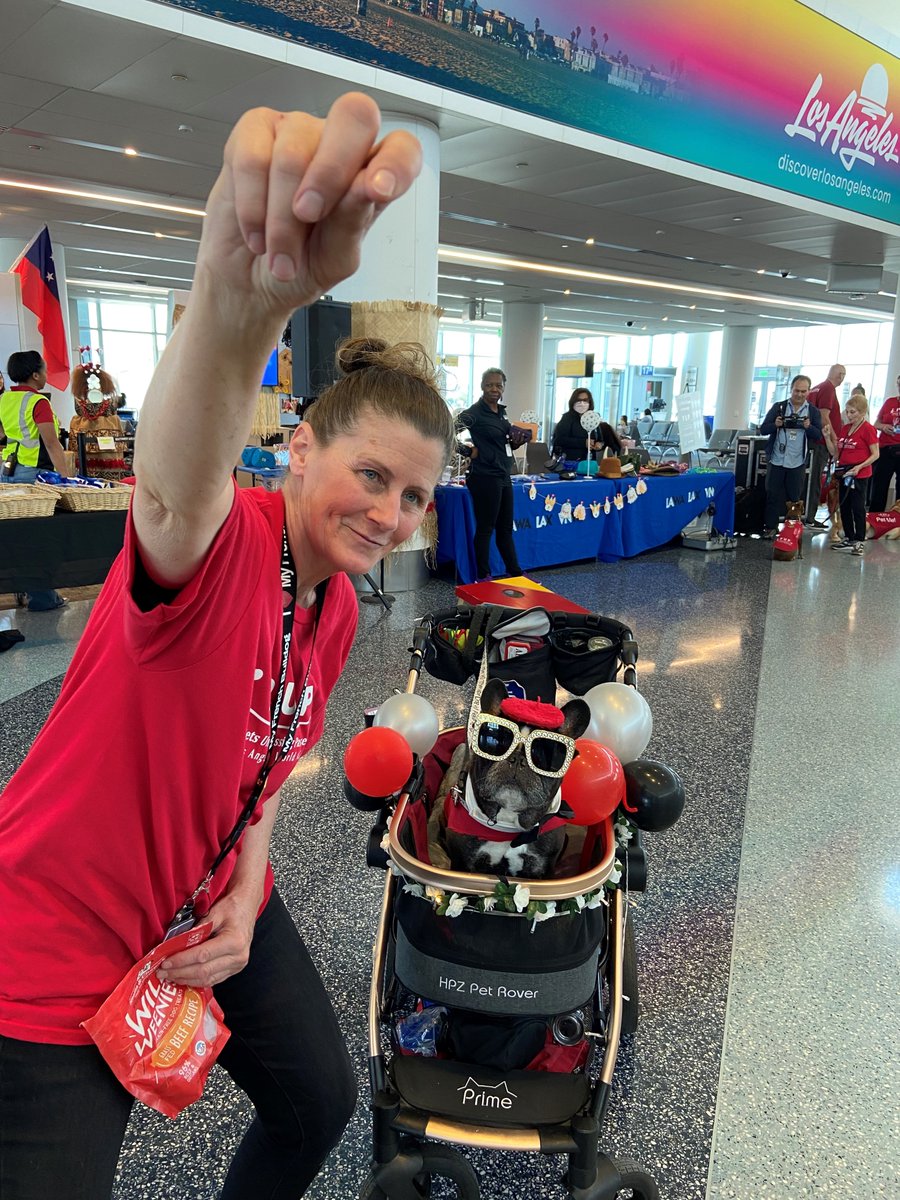 LAX Airport on Twitter "Happy 10th anniversary to the LAX Pets