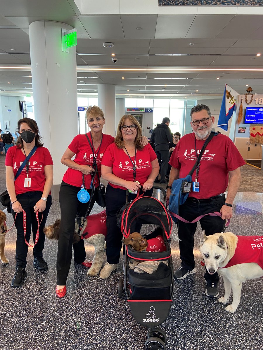 flyLAXairport's tweet photo. Happy 10th anniversary to the LAX Pets Unstressing Passengers (PUPs) program! We celebrated with a paw-ty w/ @SouthwestAir where more than a dozen dogs walked the red carpet and had their photos taken by pup-arazzi in T1. Then the dogs greeted passengers to spread smiles &amp; joy. https://t.co/zQ41cXvhJD