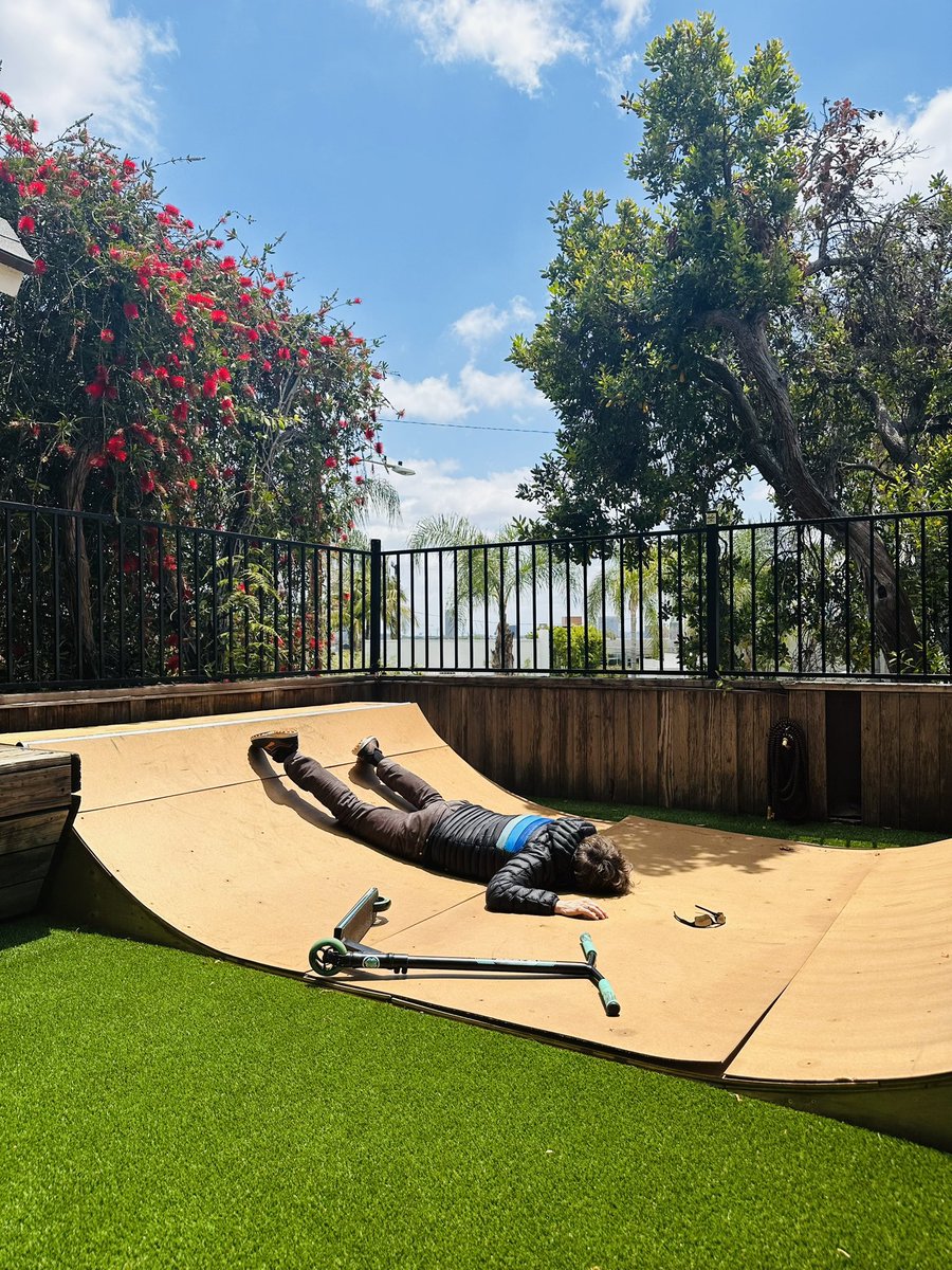 Dana Carvey tweet media