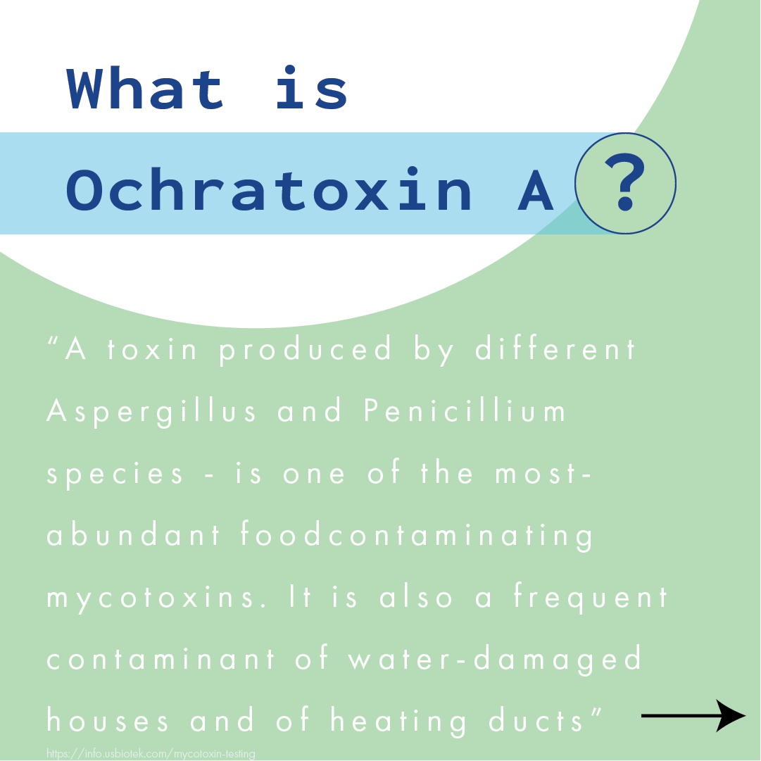 USBioTek's tweet photo. ✨#FoodInsight: Delving into Mycotoxins✨

Did you know specific Aspergillus &amp; Penicillium species produce one of the most prevalent food-contaminating toxins?🤔 They impact our food, water-damaged houses &amp; heating ducts!

More info: https://t.co/EorzJmtFWo https://t.co/eHxngW4B7X
