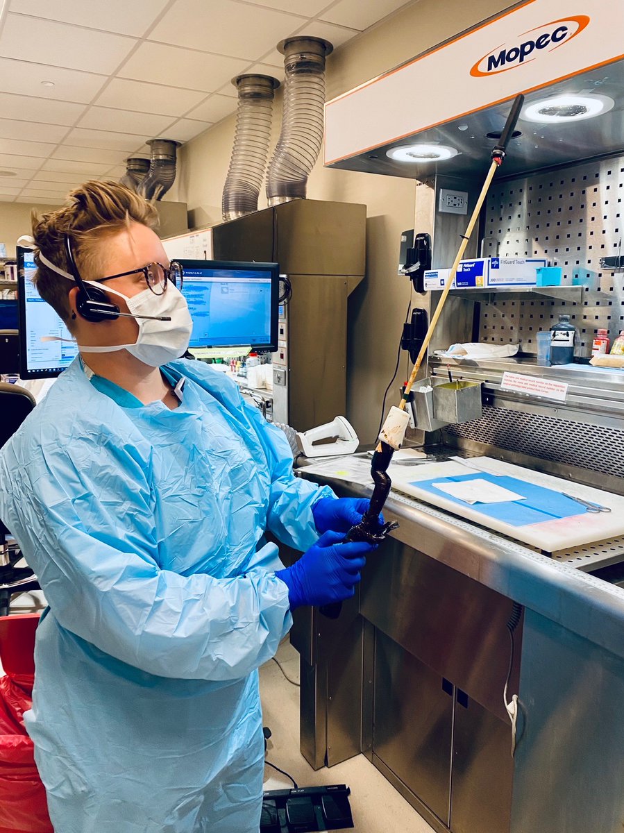 UArizona Pathology & Laboratory Medicine tweet media