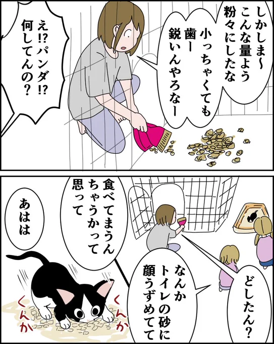 第17話【猫飼い1年生】

おからの猫砂

#漫画が読めるハッシュタグ #猫 #コミックエッセイ 