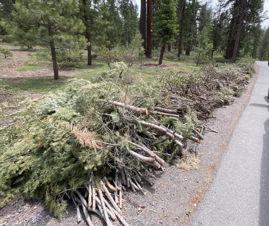 GREENWASTE CURBSIDE PICK-UP PROGRAM IS BACK! Truckee Fire District Residents help us help you! Create defensible space around your home. You make the pile, we'll do the rest. ➡️ truckeefire.org/greenwaste 
Pile must be staged on curbside of a public roa BEFORE making a reservation
