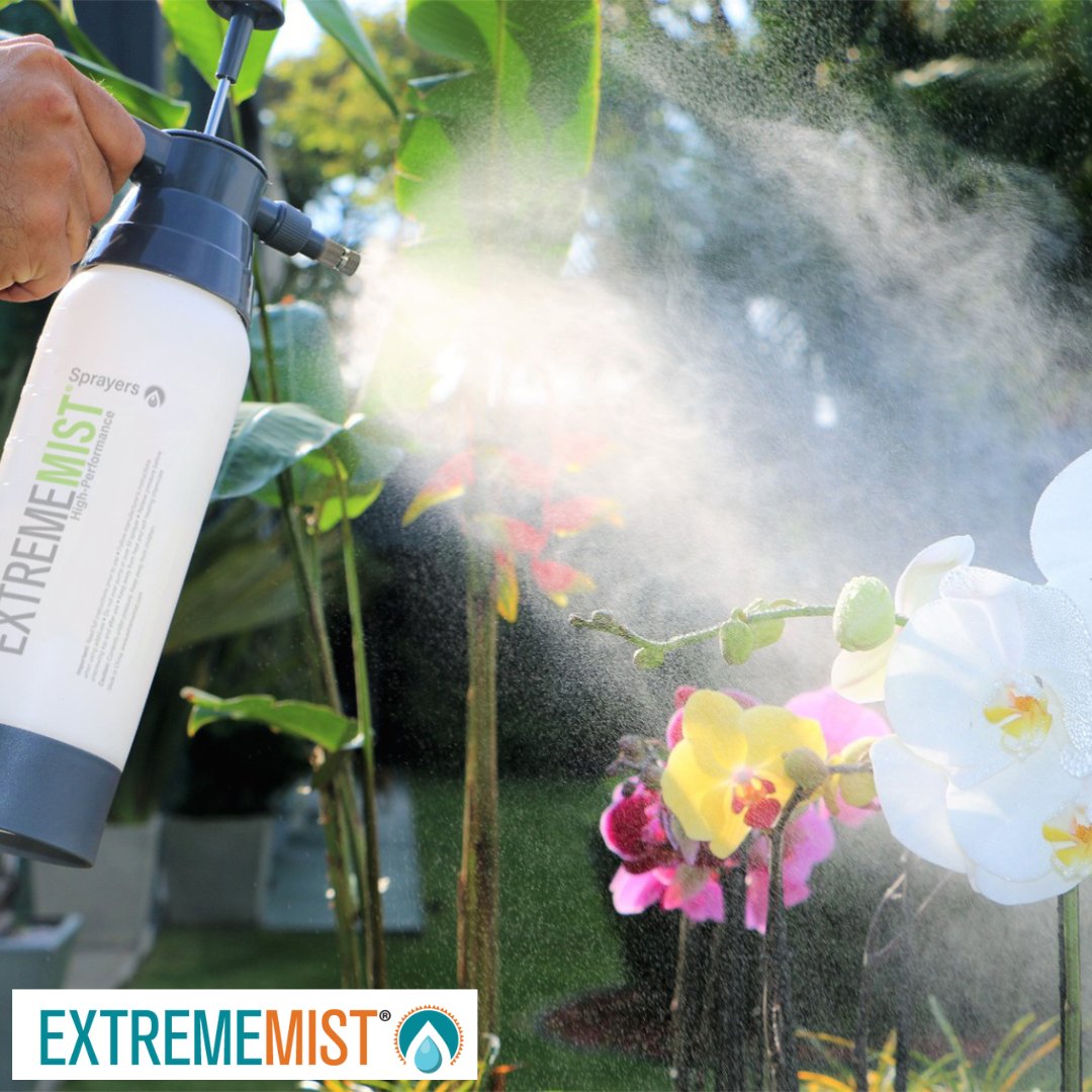 ExtremeMistPCS's tweet image. Bringing the refreshing mist to your plant babies! 💦🌿 The perfect way to keep them hydrated and happy. #PlantCare #MistingMagic #plantmister #hydrationgoals