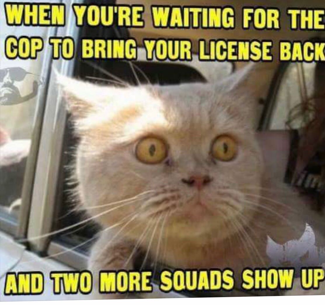 michael_marlow_'s tweet photo. @PplsCityCouncil @PplsCityCouncil Upon finding your warrant, kindly form a single-file line—and book yourself. https://t.co/PPA5Ecr7gi