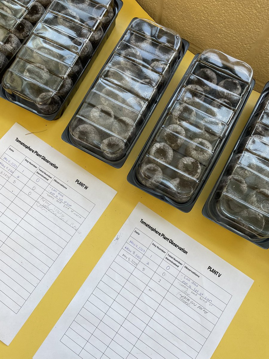 We’re loving keeping an eye on our <a href="/Tomatosphere/">Tomatosphere™</a> plants! We can’t wait to find out which seeds spent time in space!