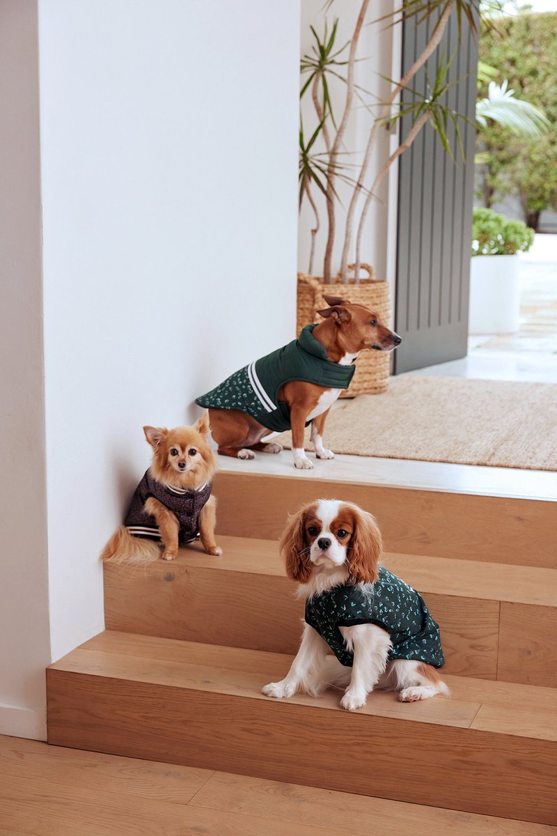 #PETstock's debut designer collection collaborating with #THEUPSIDE, Romance Was Born & Double Rainbouu launches on May 15 at the #Afterpay #AustralianFashionWeek! 
20% of sales of this 2023 Winter Collection will be donated to #ThePetspirationFoundation.
australiandoglover.com/2023/05/petsto…