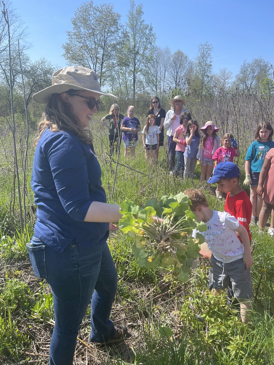 Orion Oaks Elementary (@orionoakselem) on Twitter photo Emily McNally from Oakland County Parks visited with Gardening Club to discuss native and invasive plant species. We went through our garden and took a nature walk where she pointed out several of both. Thank you, Emily! We learned so much 💚🌷🌻☘️🌿 <a href="/LkOrionSchools/">Lake Orion Community Schools</a> Emily McNally from Oakland County Parks visited with Gardening Club to discuss native and invasive plant species. We went through our garden and took a nature walk where she pointed out several of both. Thank you, Emily! We learned so much 💚🌷🌻☘️🌿 <a href="/LkOrionSchools/">Lake Orion Community Schools</a>
