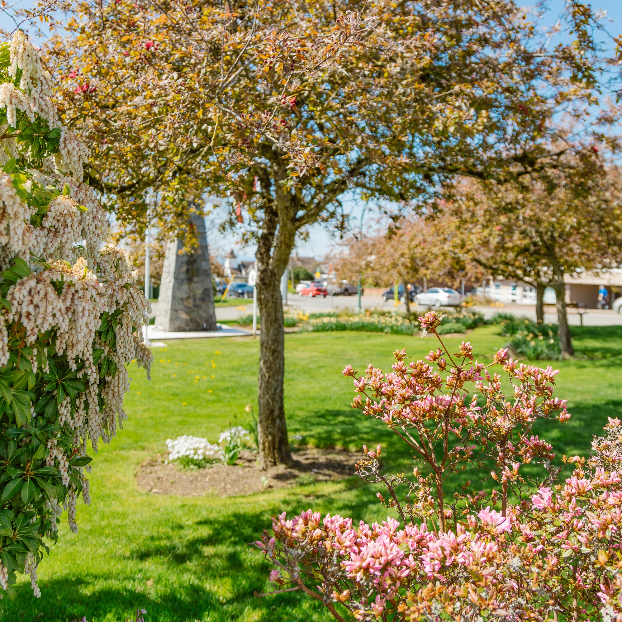 city-of-white-rock-on-twitter-lawn-watering-restrictions-are