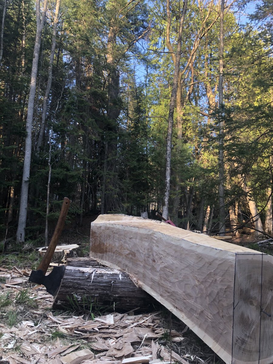 NipissingTrails's tweet photo. Conditions are heavenly for bush-work this evening.. #hewing https://t.co/nlTN6QQHlm