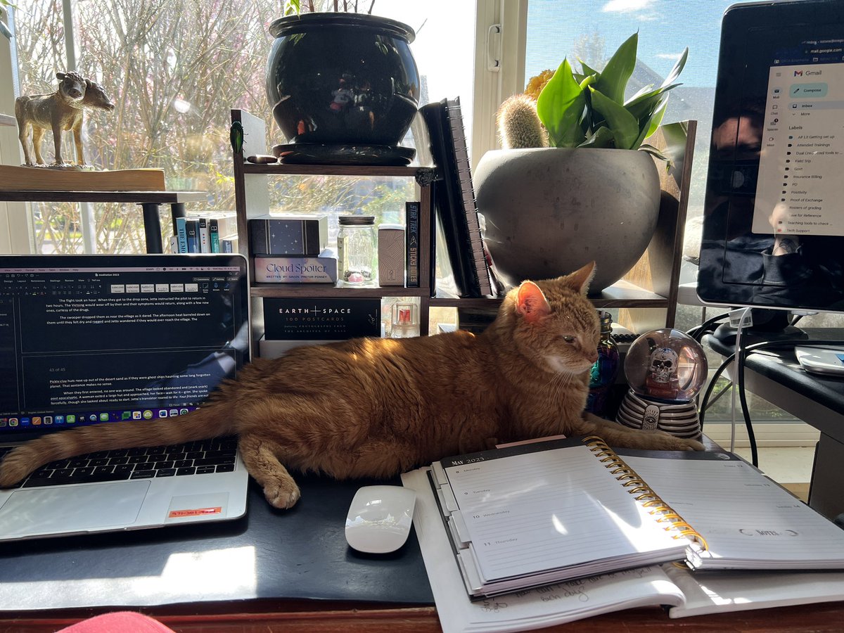 scifistone's tweet photo. My #writing coach. #amwriting https://t.co/oR5tAjchzu
