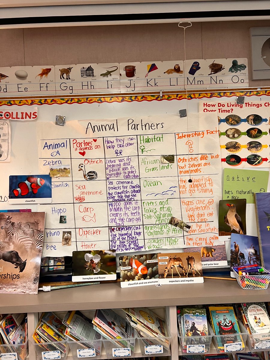 Mrs.Collins tweet media