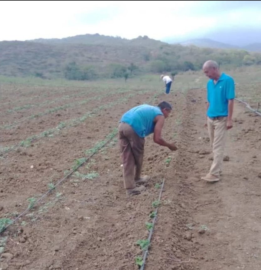 Fondas_Ve's tweet photo. #FondasInforma I Servidores y servidoras de la Oficina Regional #Lara, brindaron atención a nuestros productores y productoras de los sectores La Cocora, El Copey, La Estación, Dos Caminos, San Miguel y El Desecho en el municipio Urdaneta.
@nicolasmaduro @wcastropsuv @pjae2017 https://t.co/JQbwnR0rWM