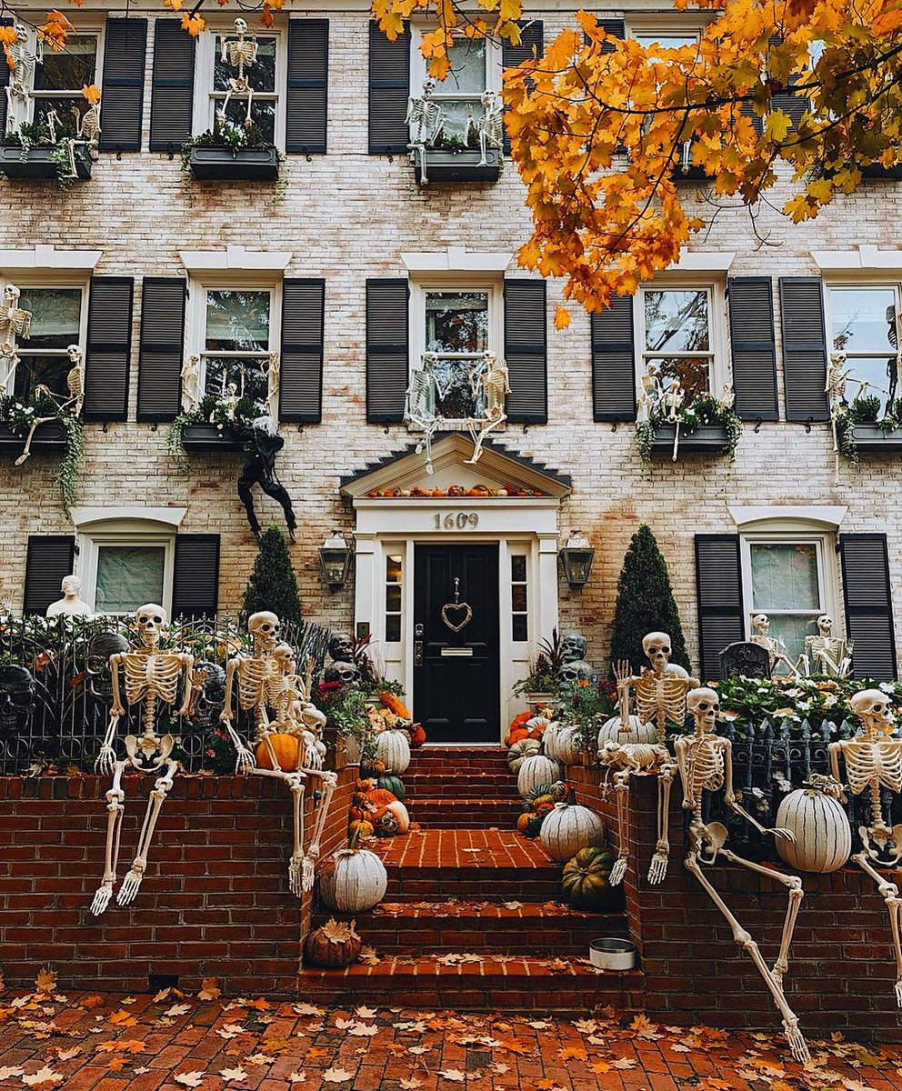 thespookygirll's tweet photo. 174 days till halloween 💀 https://t.co/UaX9W7DmVG