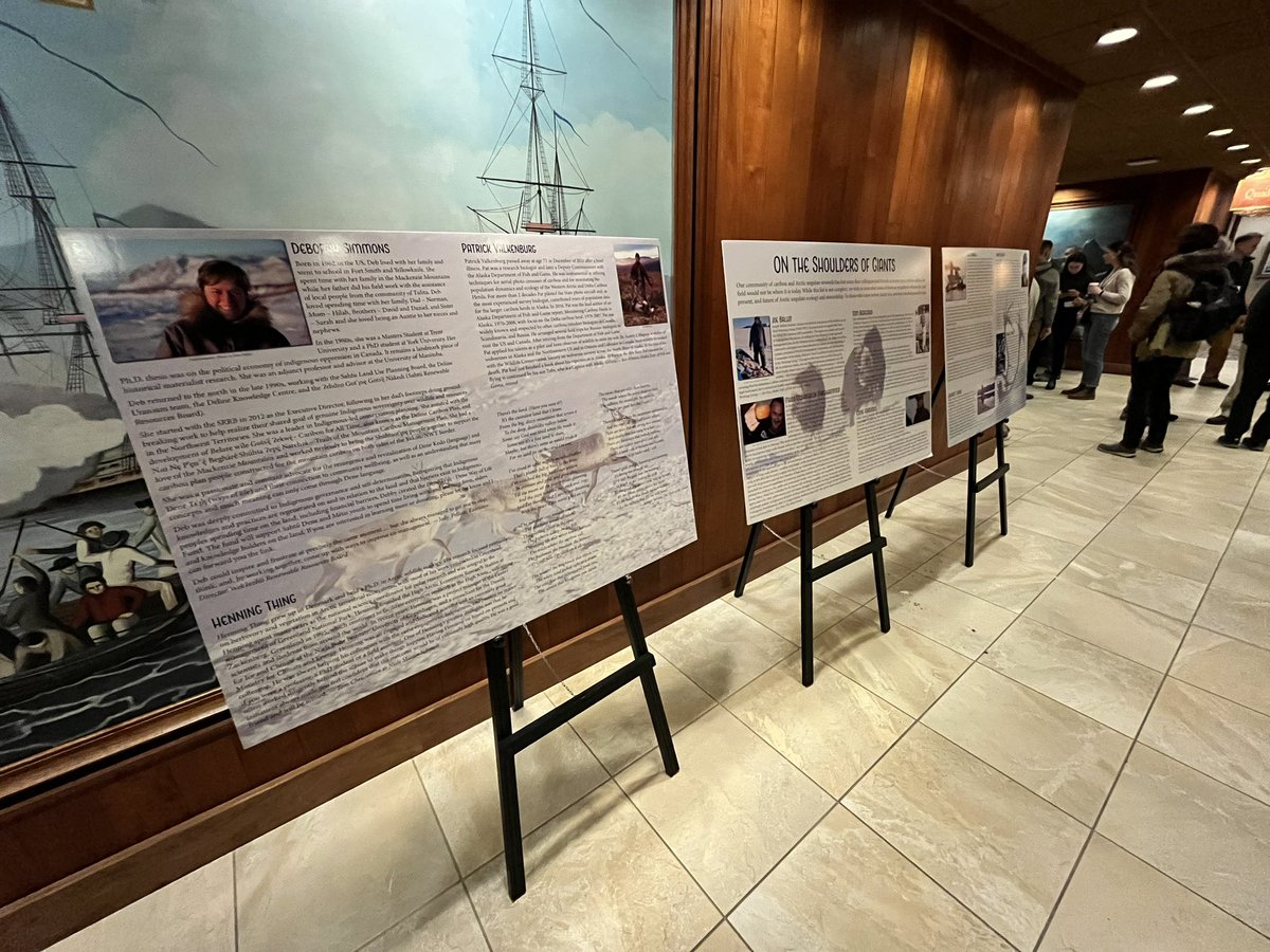 NA Caribou Workshop & Arctic Ungulate Conference tweet media