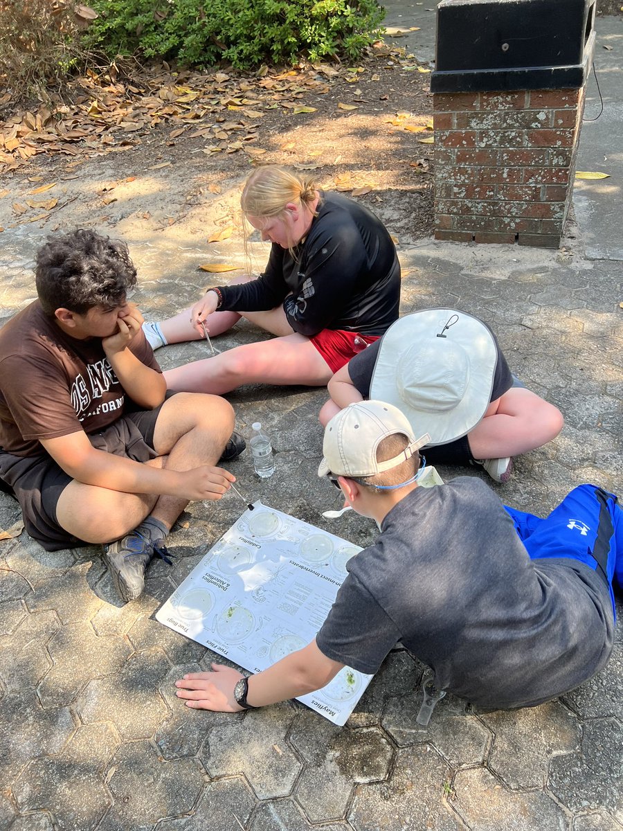 Victoria Stapleton tweet media